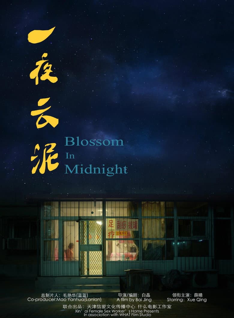 Blossom in Midnight — Rated on Seriez, track your watch history at seriez.app