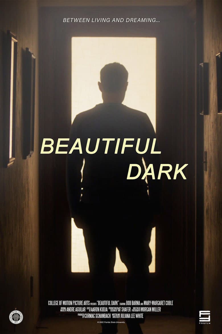 Beautiful Dark — Rated on Seriez, track your watch history at seriez.app