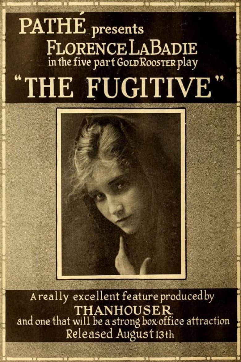 The Fugitive — Rated on Seriez, track your watch history at seriez.app