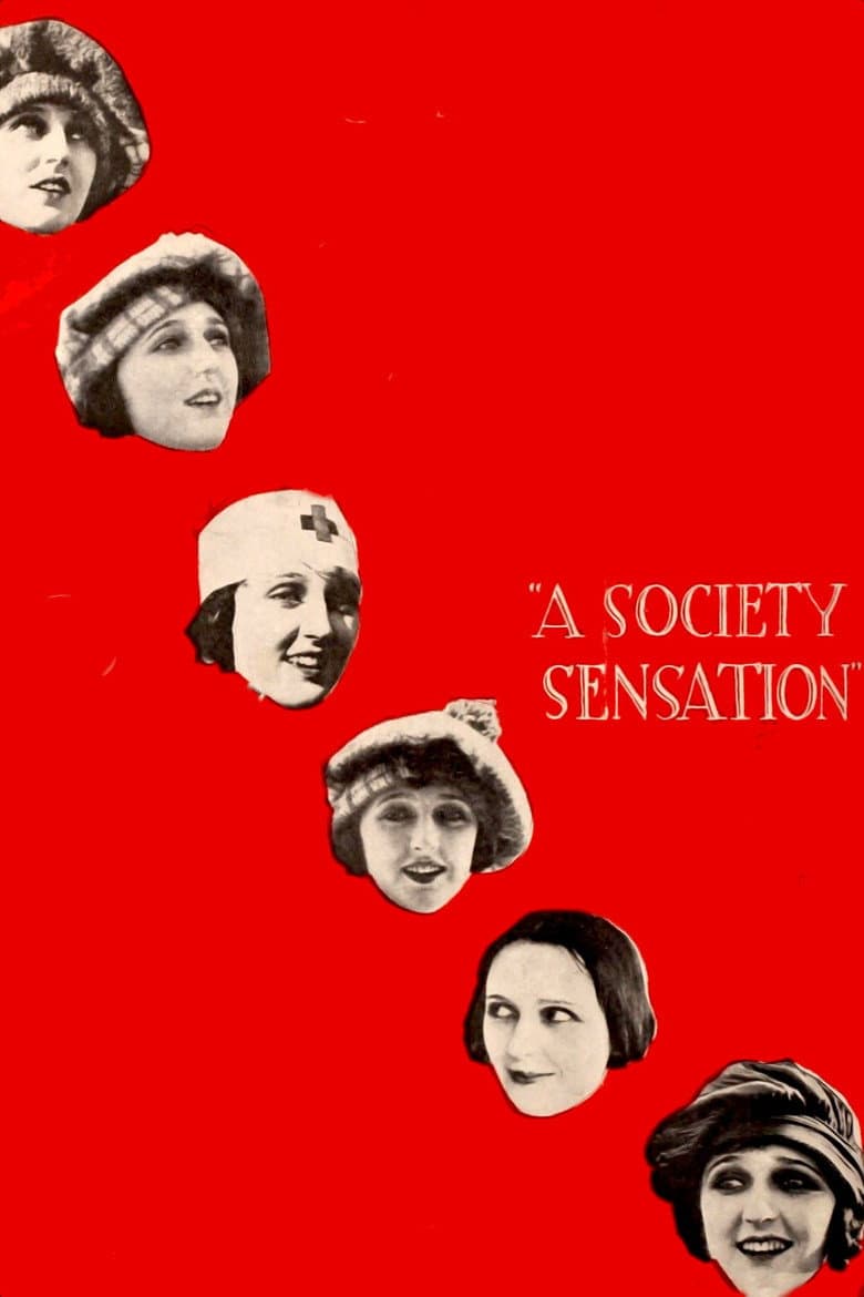 A Society Sensation — Rated on Seriez, track your watch history at seriez.app
