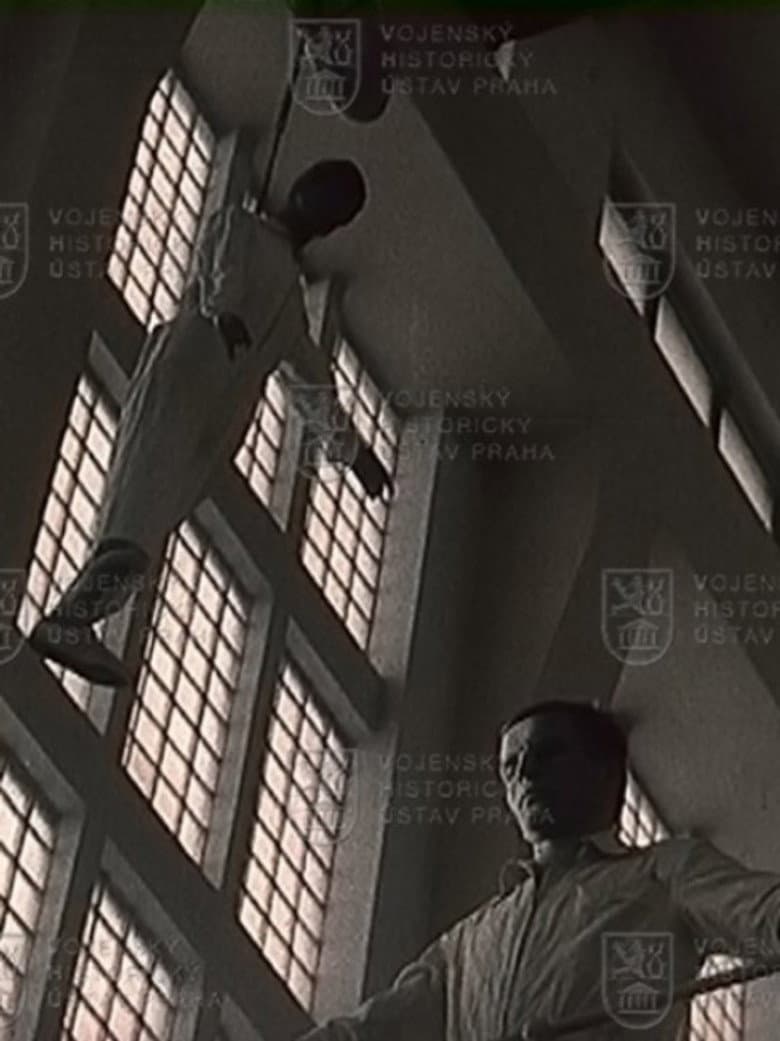 Man in a Great Hall — Rated on Seriez, track your watch history at seriez.app