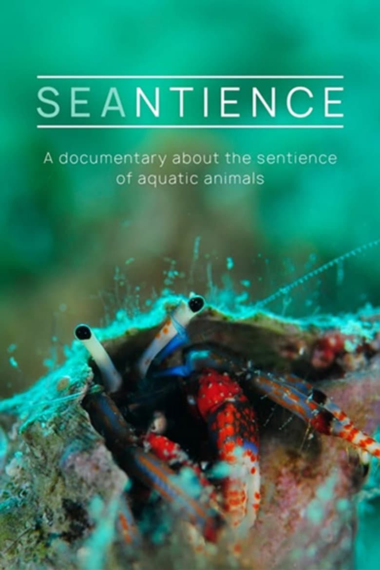 Seantience — Rated on Seriez, track your watch history at seriez.app