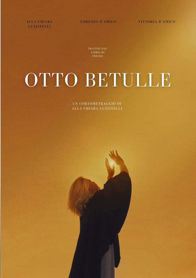 Otto Betulle — Rated on Seriez, track your watch history at seriez.app