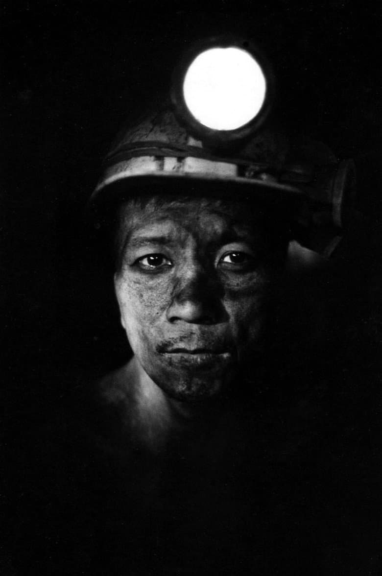 Journey into the Mine — Rated on Seriez, track your watch history at seriez.app