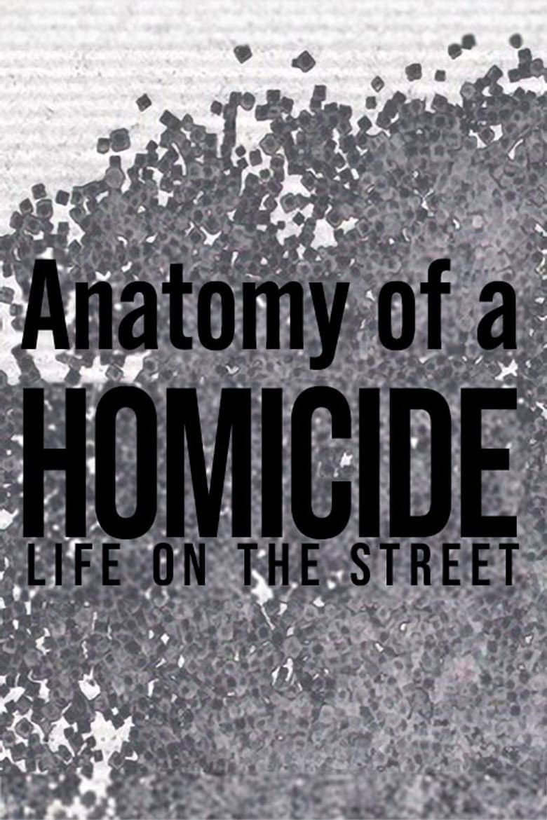 Anatomy of a 'Homicide: Life on the Street' — Rated on Seriez, track your watch history at seriez.app