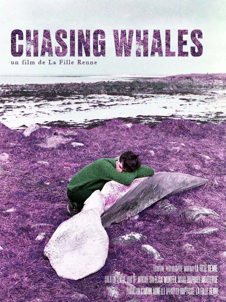 Chasing Whales — Rated on Seriez, track your watch history at seriez.app