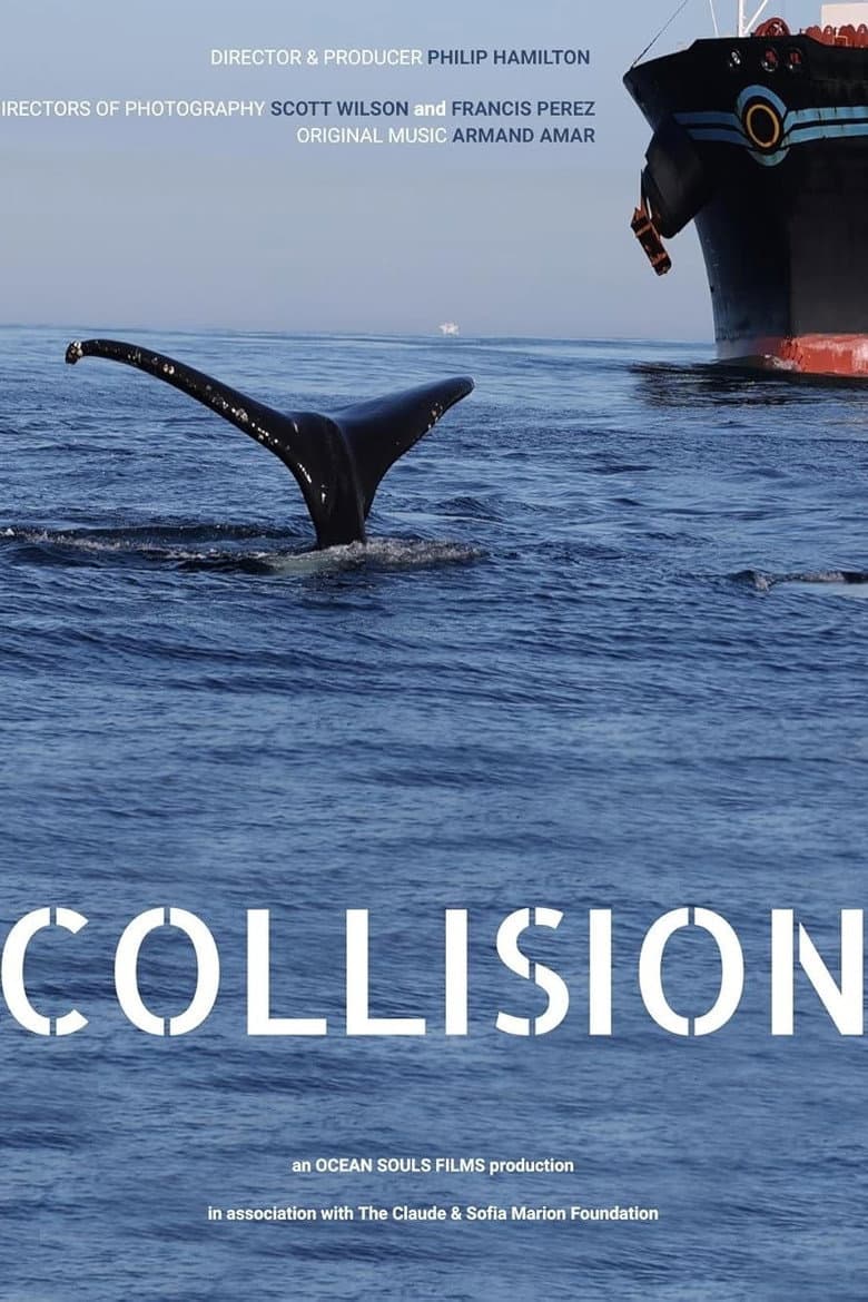 Collision — Rated on Seriez, track your watch history at seriez.app